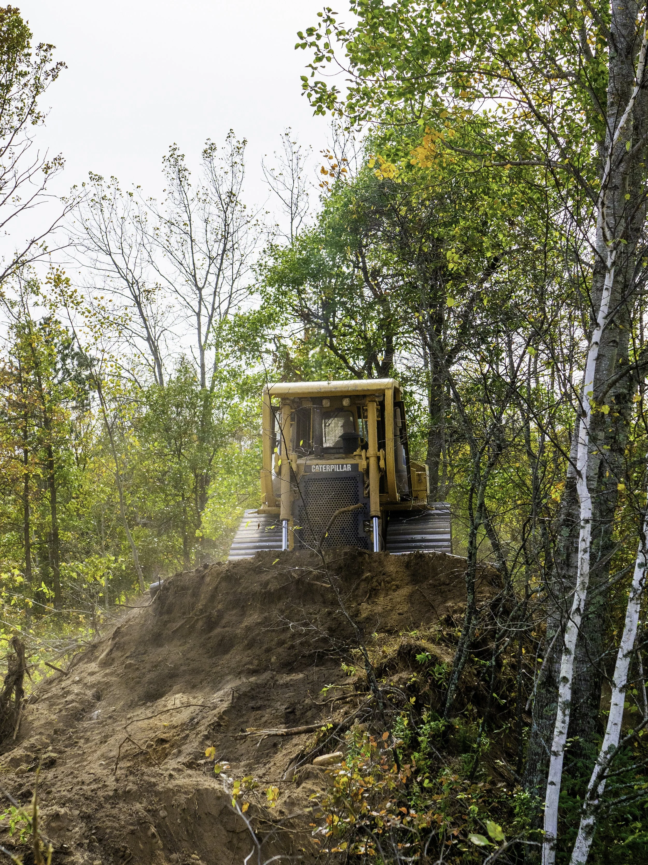 A yellow Caterpillar bulldozer clearing a hillside in a forest with trees and foliage, some leaves changing color for autumn.