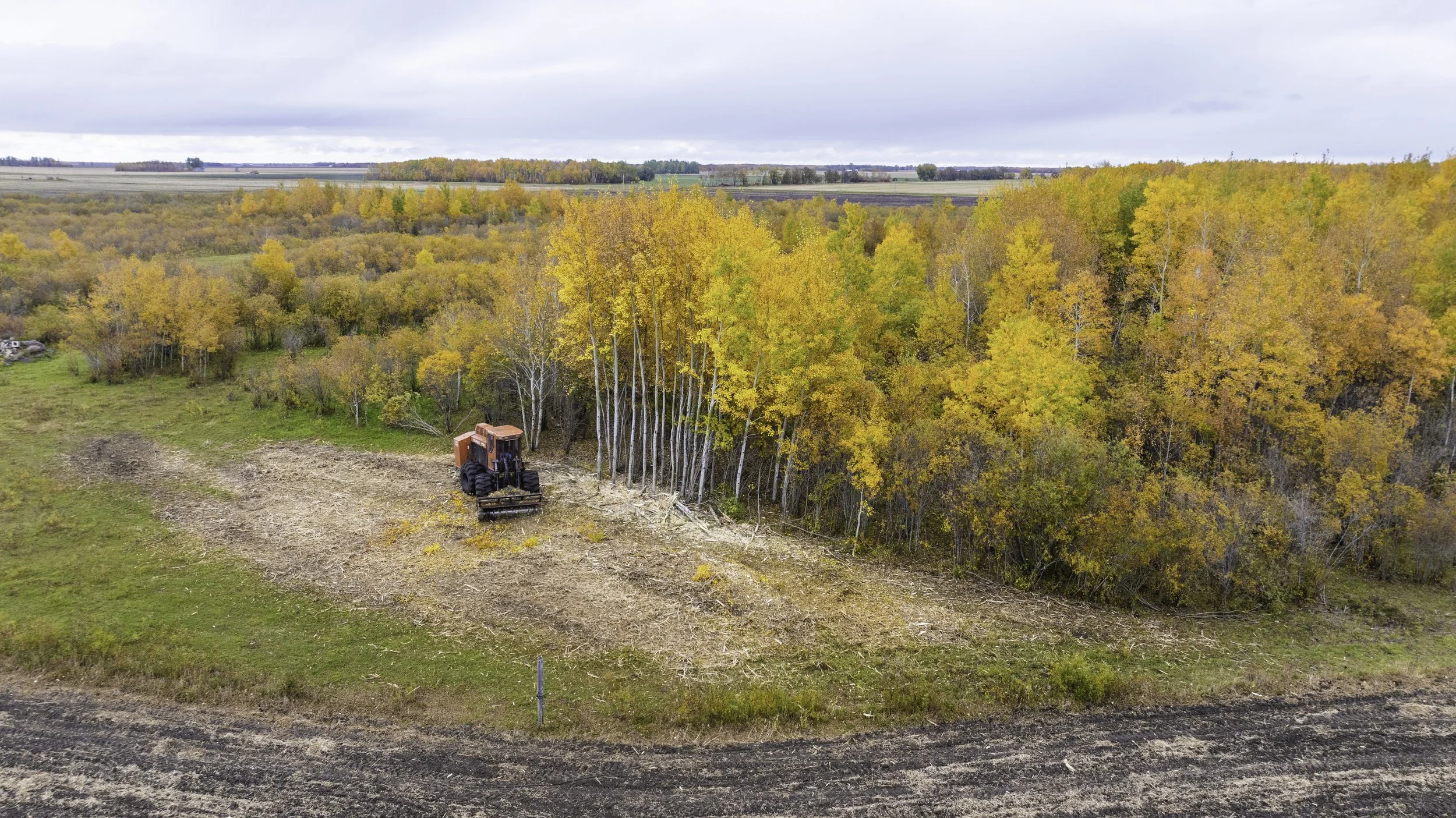 An orange tractor in a field near a forest with fall-colored trees, overcast sky in the background.