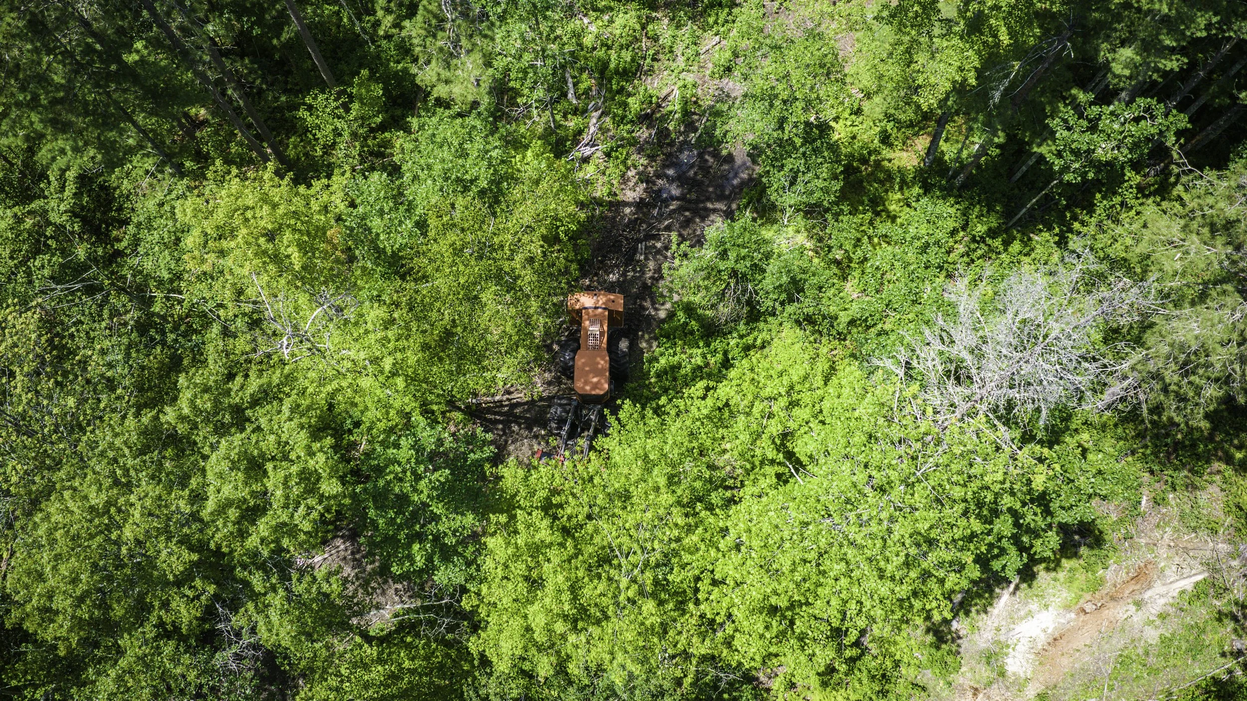 An aerial view of a green forest with a dirt trail and a piece of construction or forestry equipment on the trail.