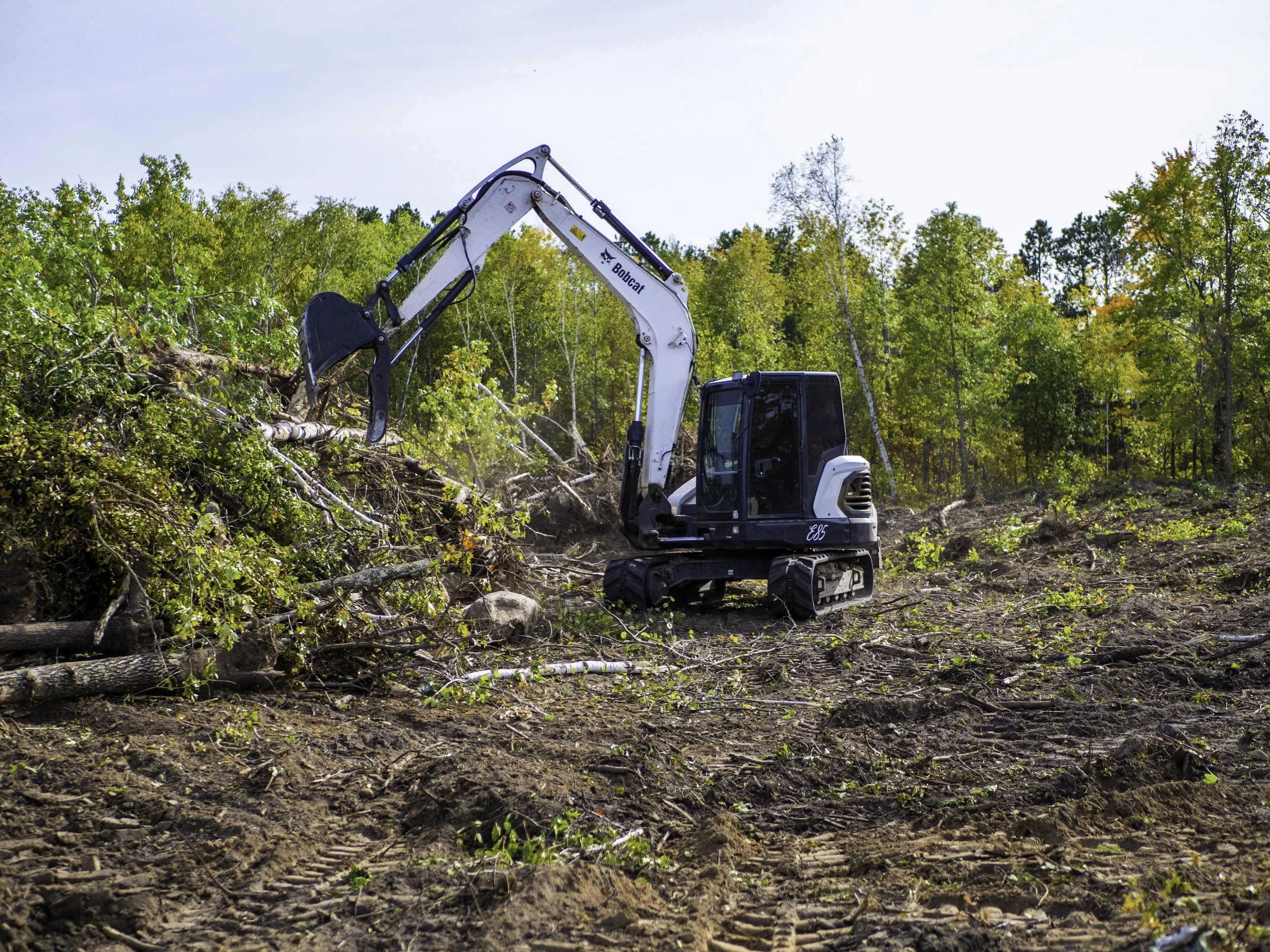 A small excavator clearing fallen trees in a forested area during daytime.