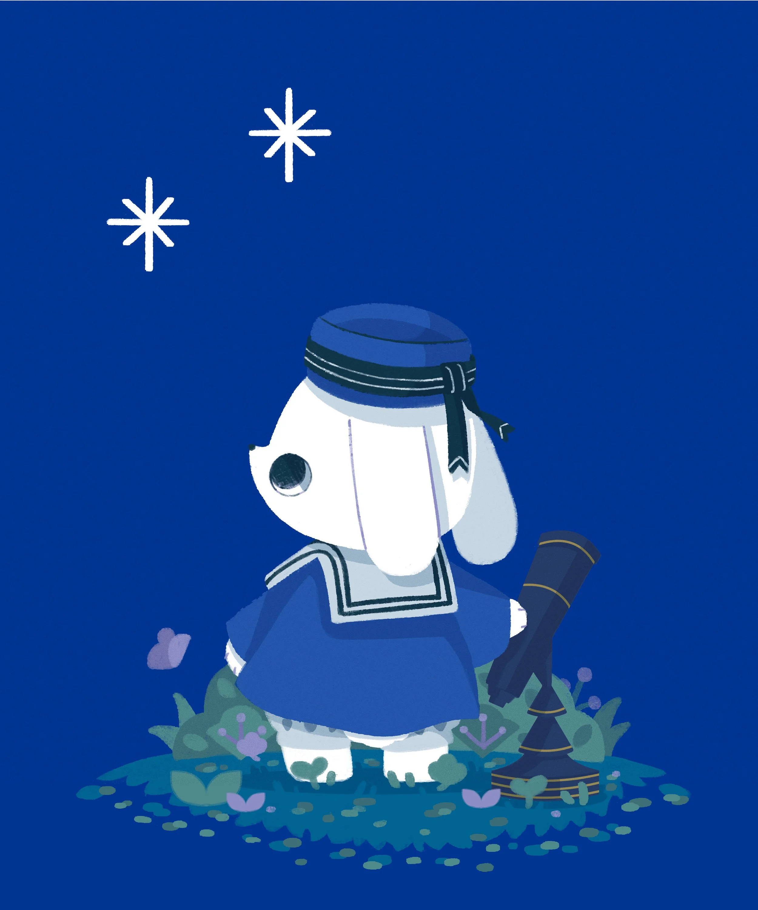 01_telescope_spot.jpg