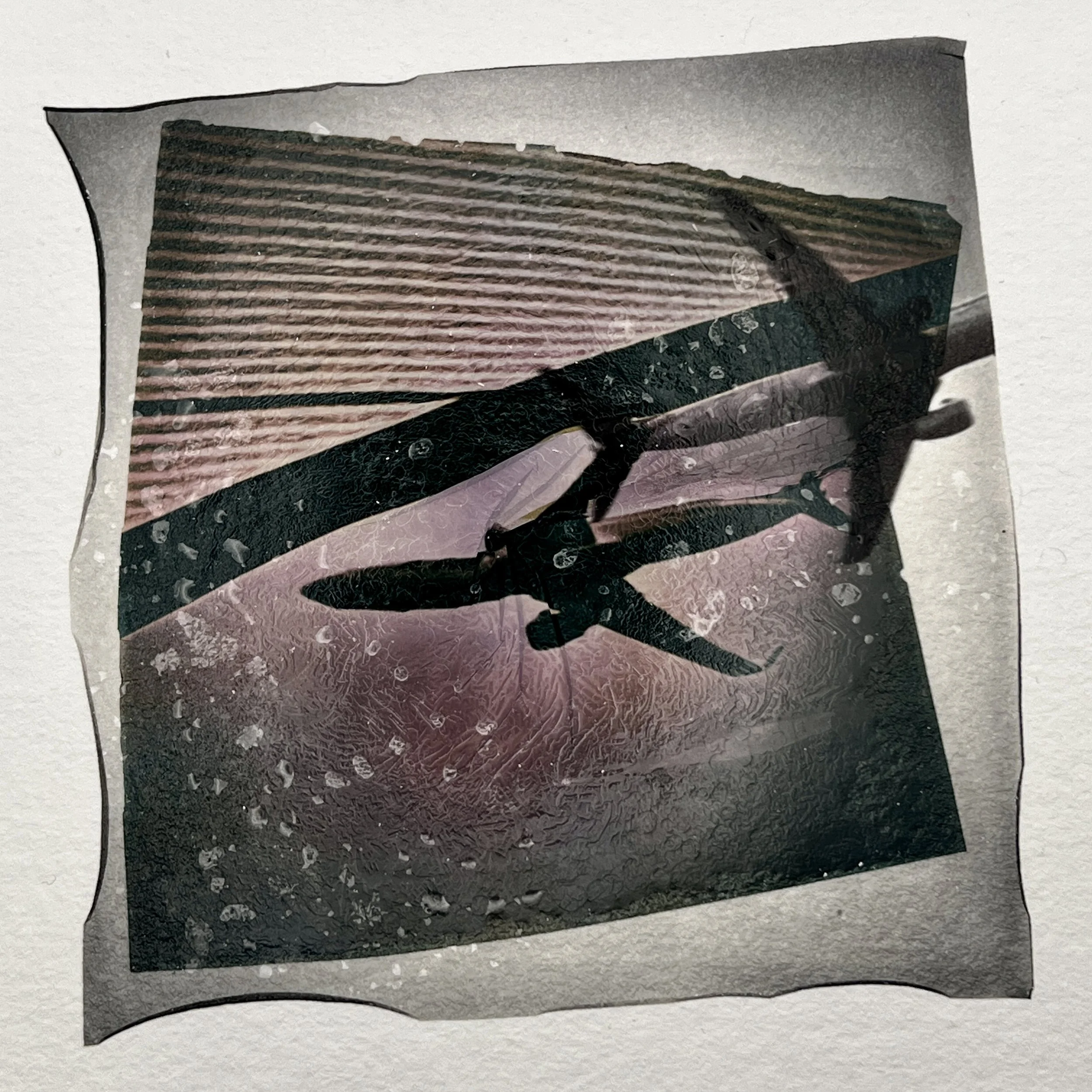 Amicable Parting | Polaroid Emulsion Lifts 8 X 8 inches