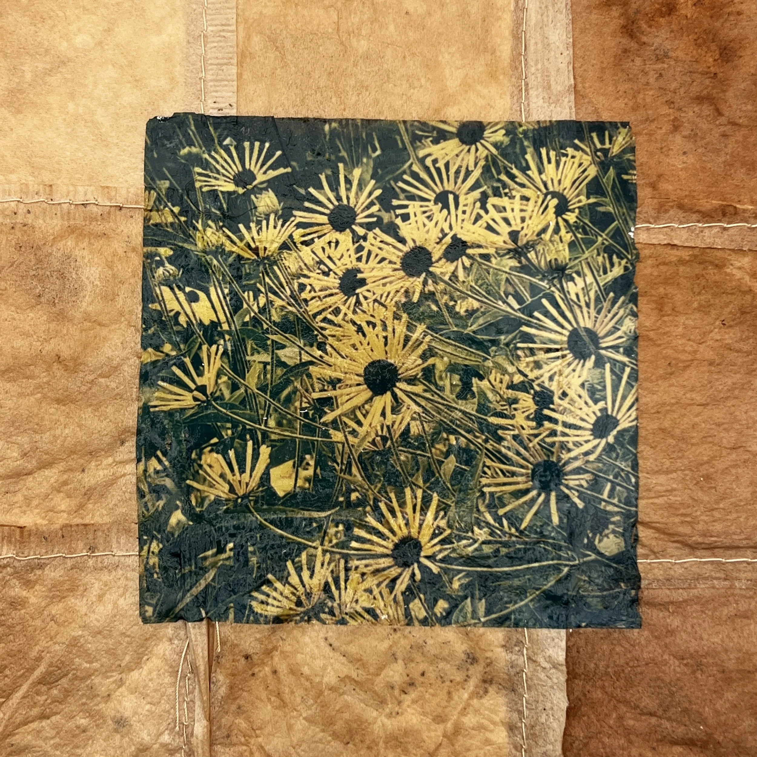 Places and Passing Moments