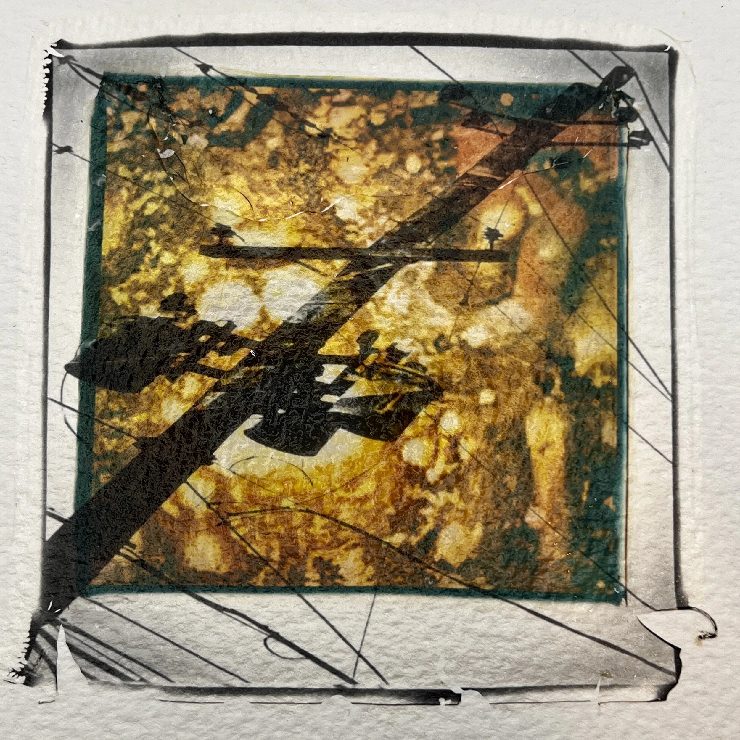 Current | Polaroid Emulsion Lifts 8 X 8 inches