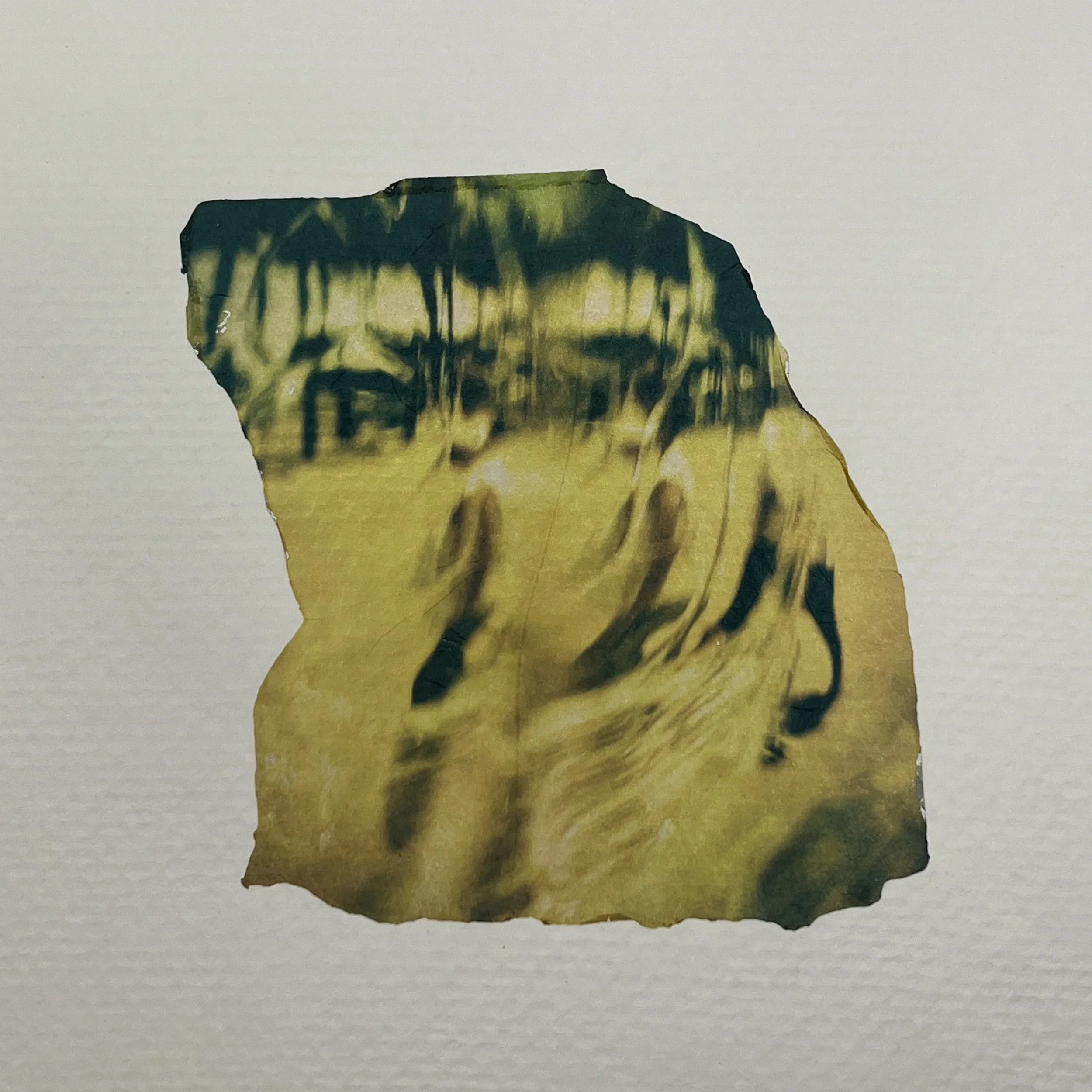 The Walk | Polaroid Emulsion Lift 8 X 8 inches