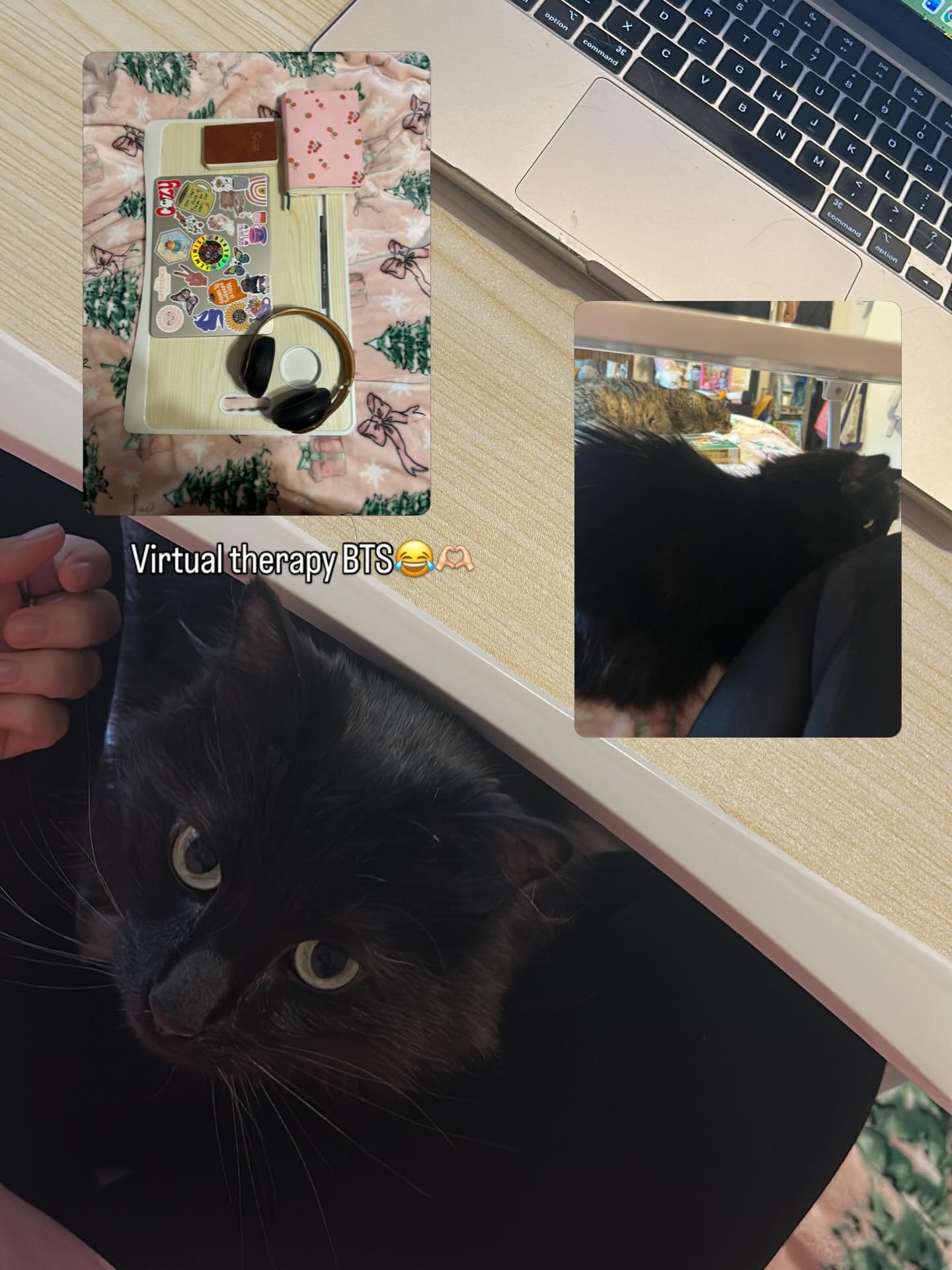 You log into virtual #occupationaltherapy sessions with me and you see my face, but this is my POV! 🩷 sessions virtually are nice sometimes cause we can chat and brainstorm challenges and strategies from the comfort of home with all the sensory and 