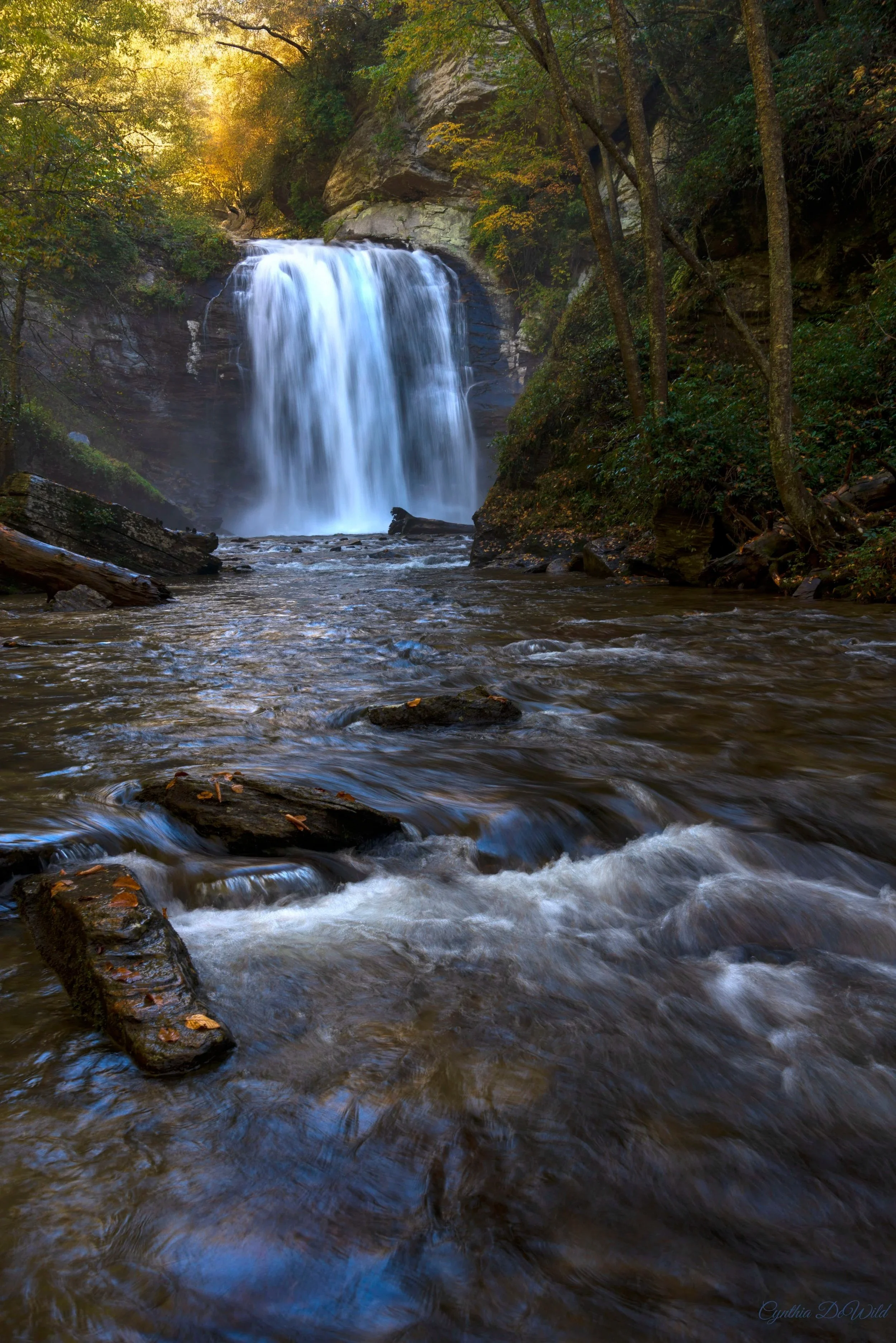 Where the Water Prays