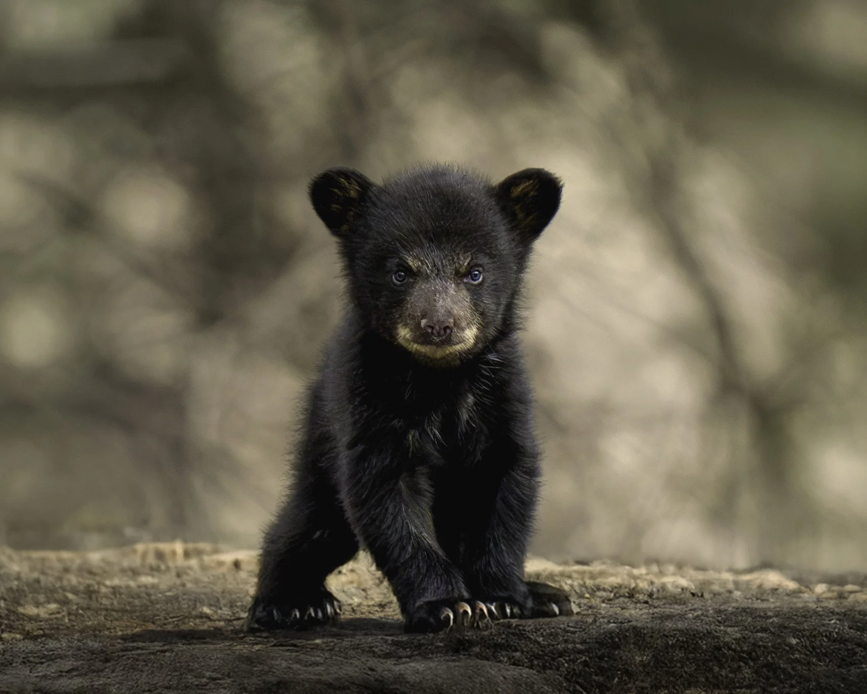 DSC06283 website print-.jpg