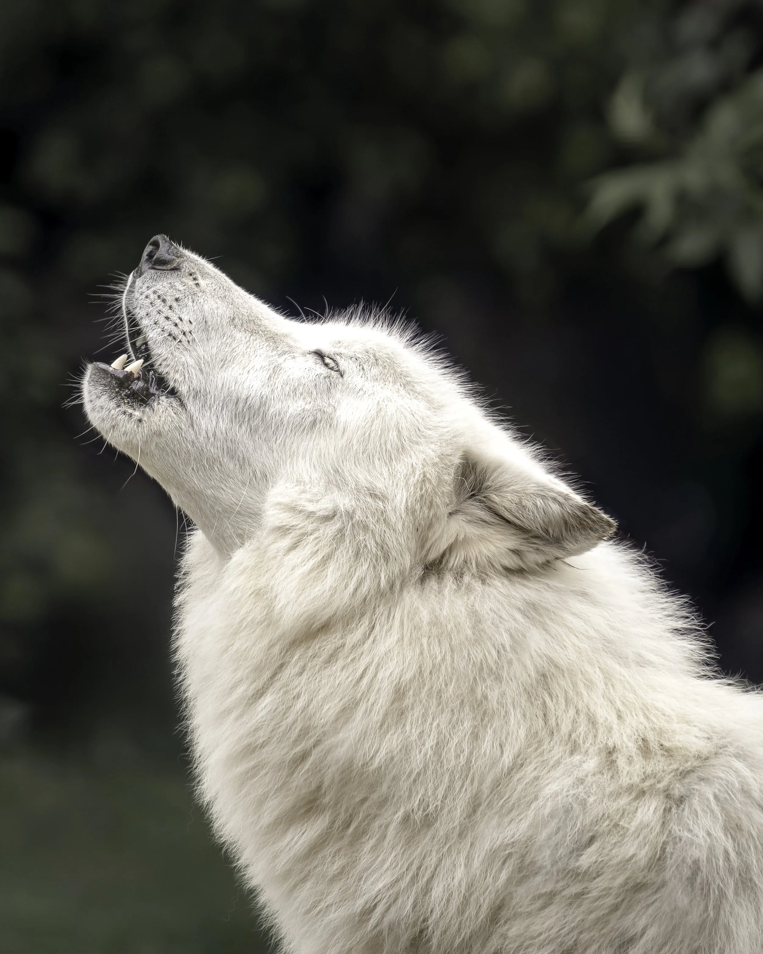 DSC01330 website-print.jpg