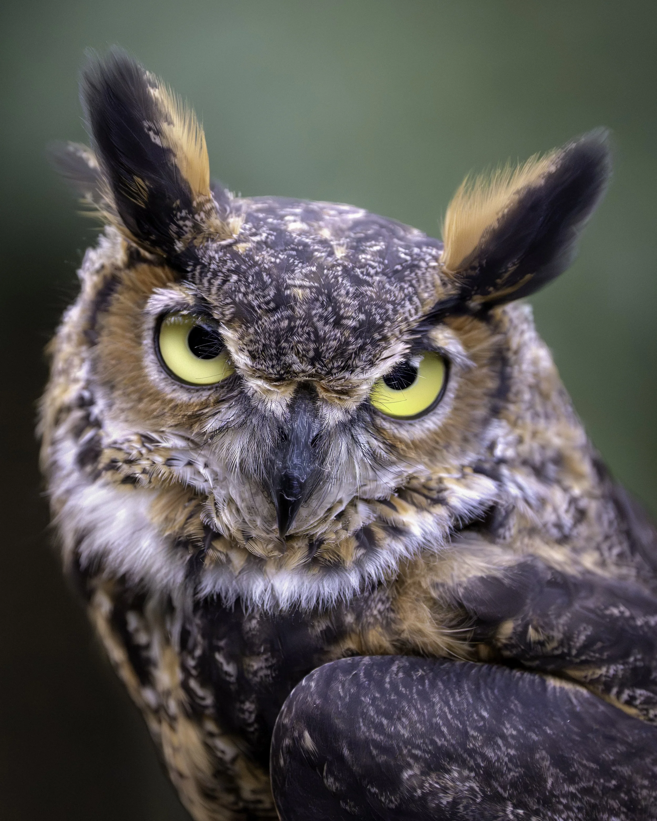 DSC08172-1 copy-website print.jpg