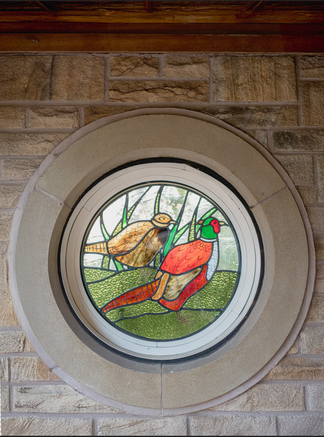Colorful stained glass window depicting a turkey and a pheasant outdoors with grass and reeds.