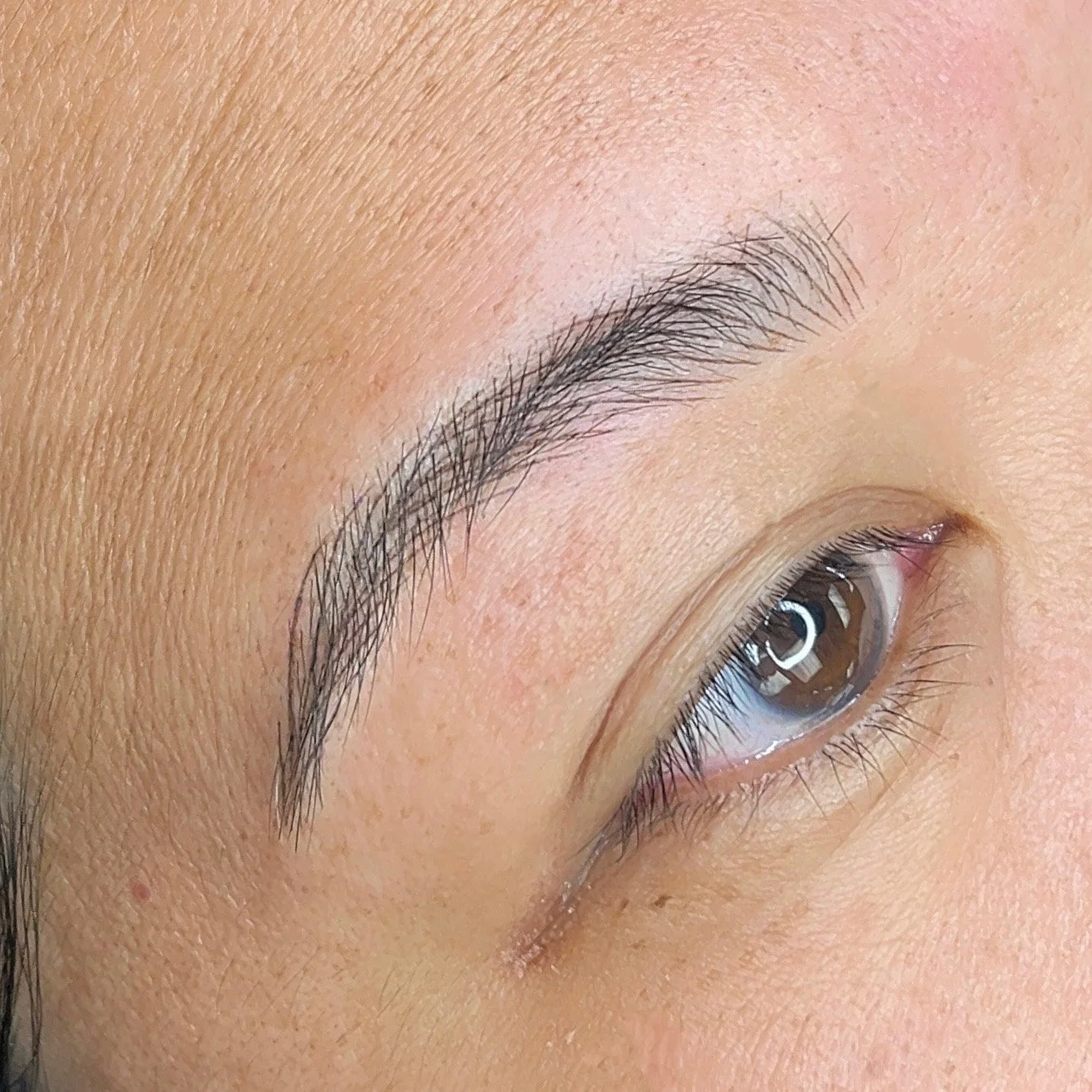 Close-up of a person's eye with well-groomed eyebrows, long eyelashes, and brown eye color.