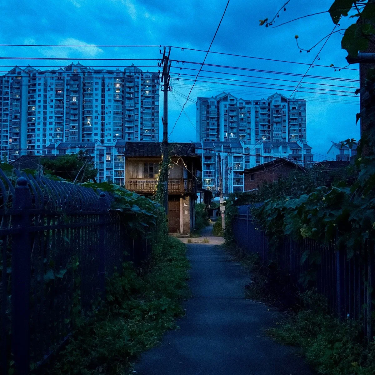 03 CAI06342.jpg