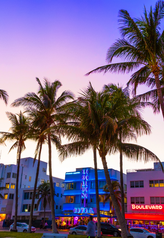 Colorful sunset over palm trees in Miami Beach, with a neon-lit hotel and boulevard.
