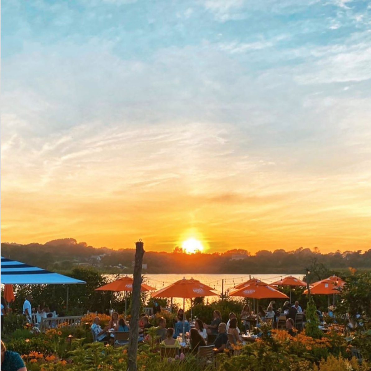 Harvest on Fort Pond, Montauk