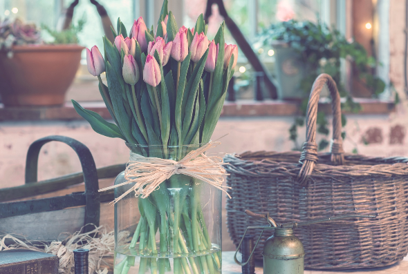 Screen Shot 2019-04-01 at 4.27.18 PM.png