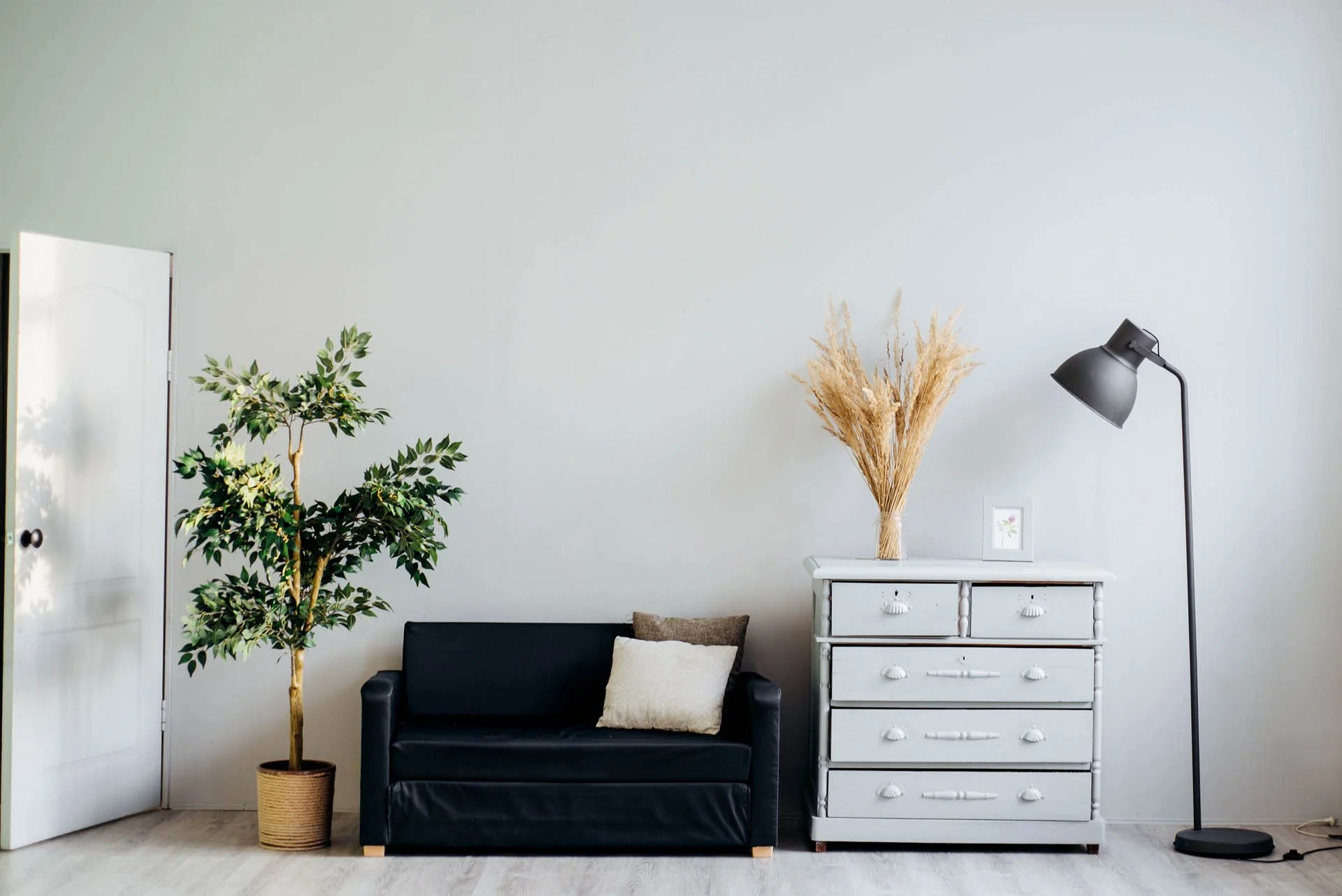 Minimalist living room with green potted plant, black sofa with beige pillows, white dresser with dried pampas grass, framed artwork, and a black floor lamp against a plain light grey wall.