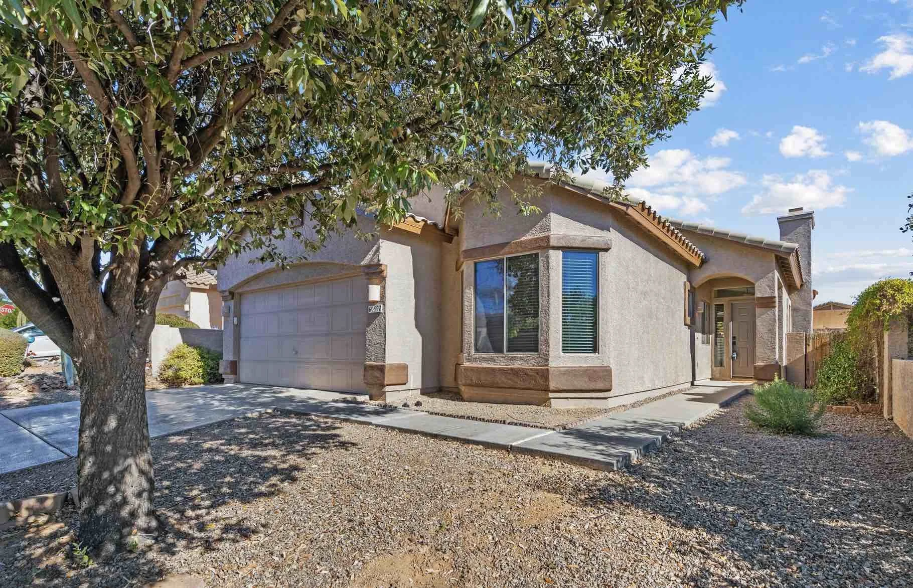 front-of-house-with-mesquite-tree-two-car-garage