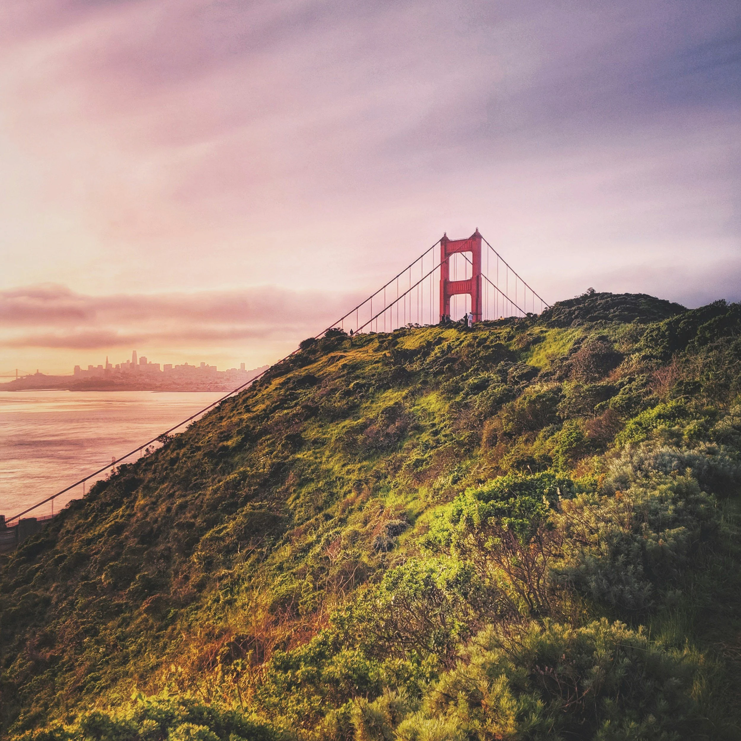 Golden Gate Bridge with a purple sunset sky and green hillside in the foreground.