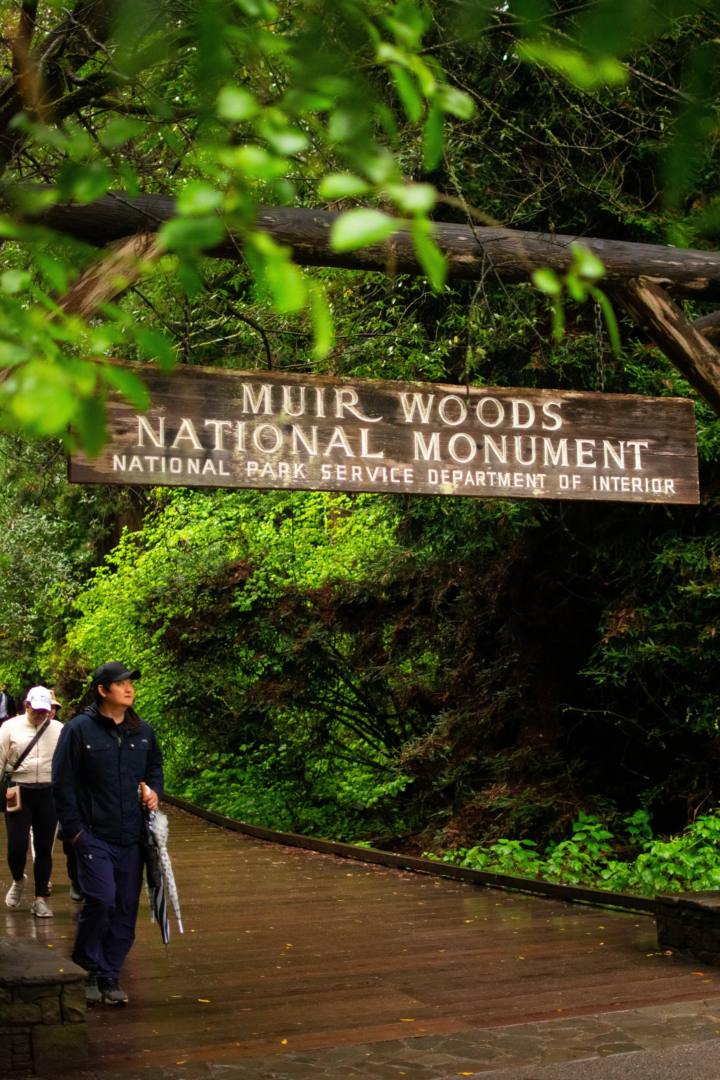 People walking on a wooden path in Muir Woods National Monument surrounded by green trees and forest.