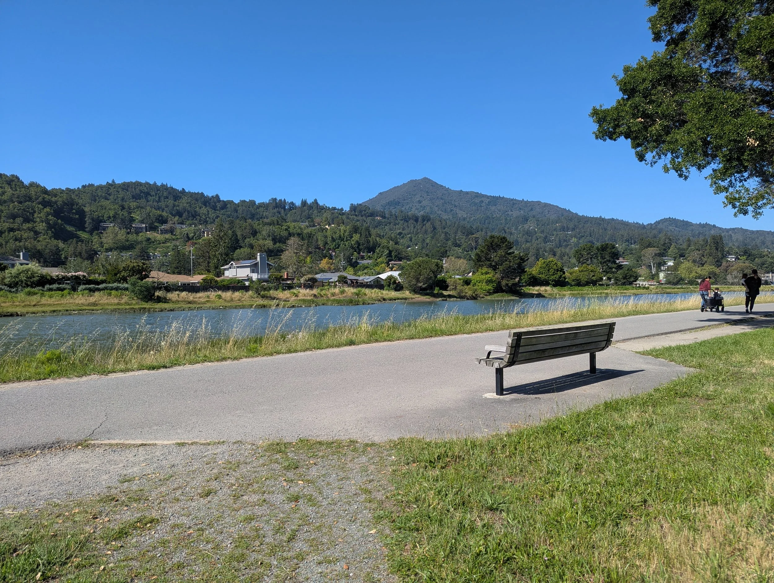 A view of Mount Tamalpais along the Corte Madera Creek path with a bench, trees, and people walking along the path. This is near The Children's Memorial in Greenbrae.