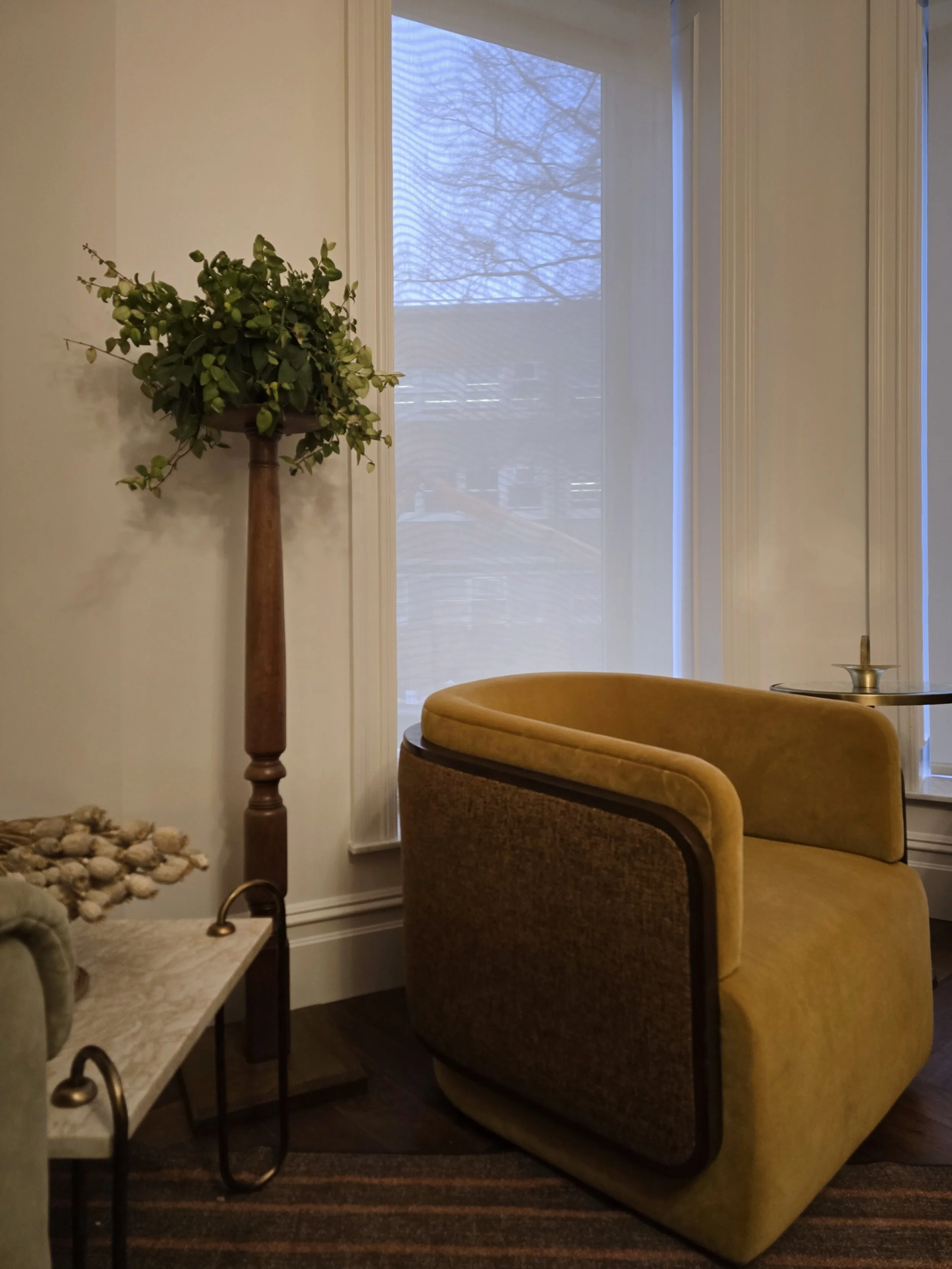 Park Slope Brooklyn Townhouse Renovation | Living Room on Parlor Floor