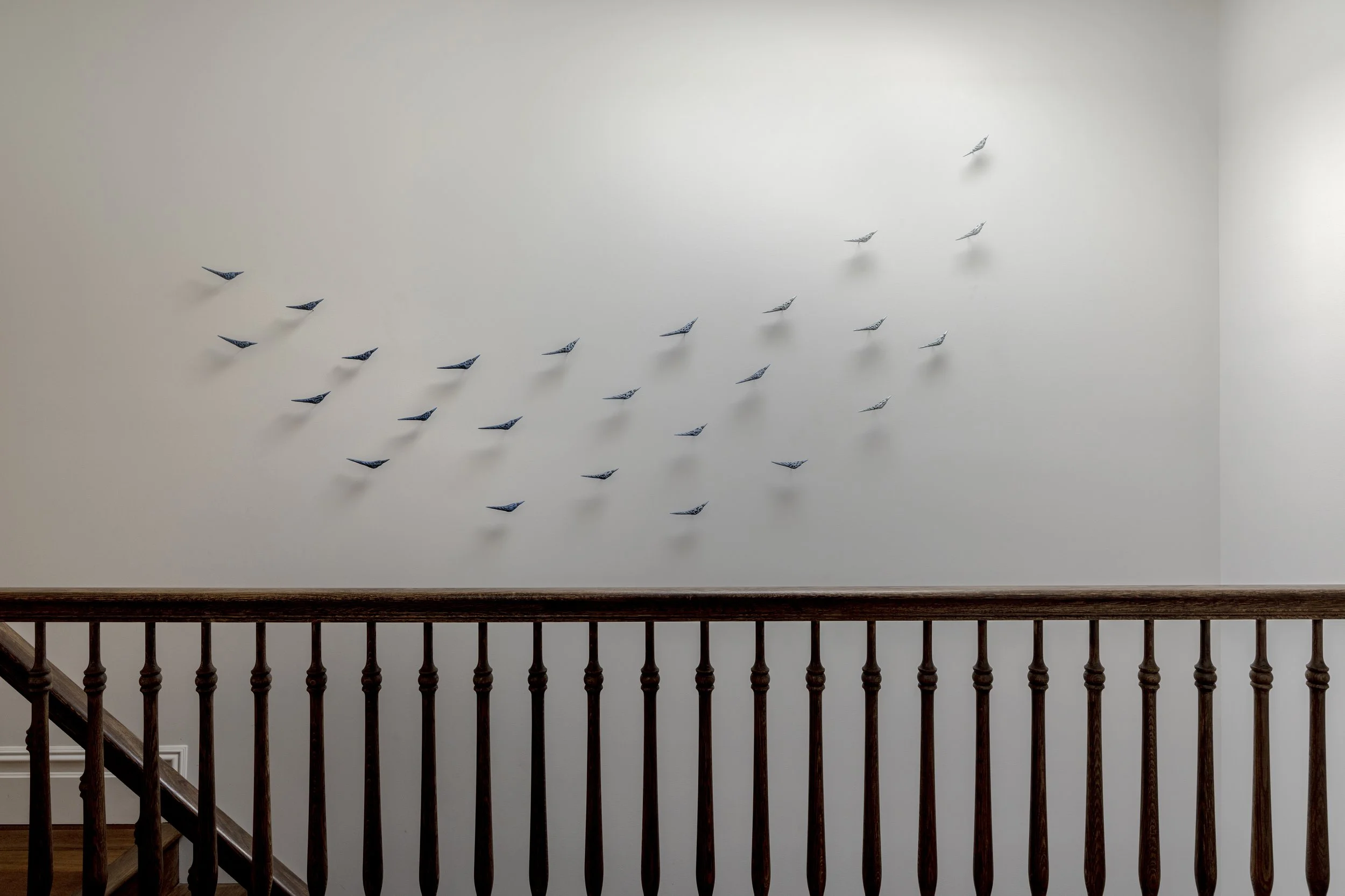 501A5067_edit1 sm.jpg