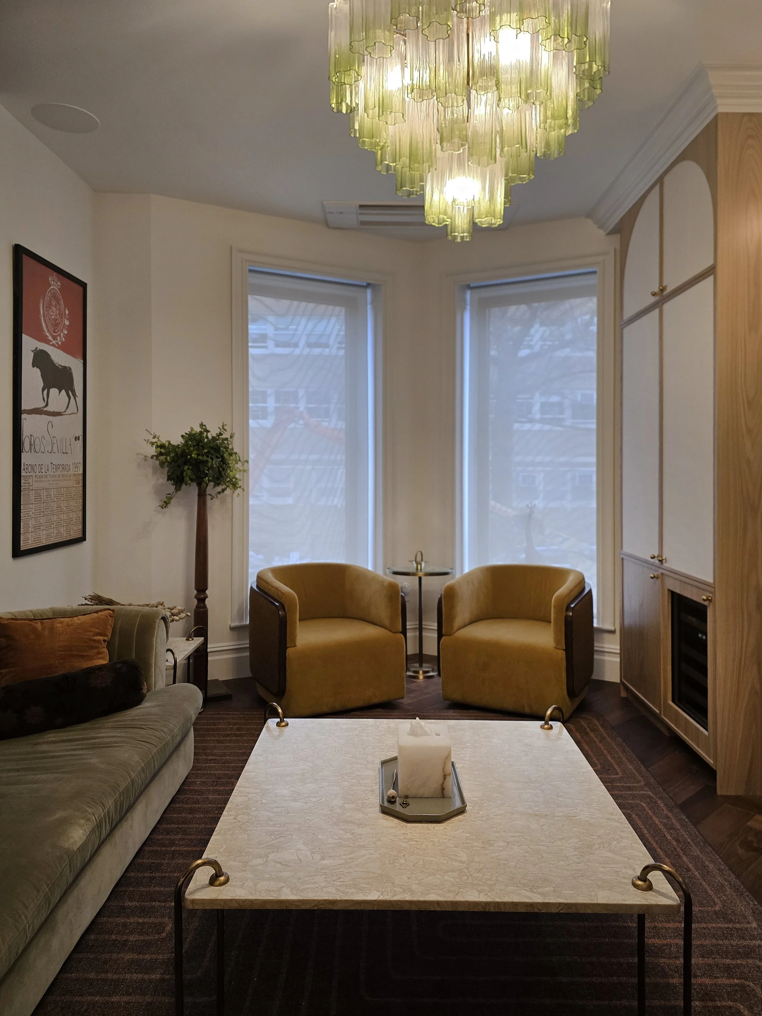 Park Slope Brooklyn Townhouse Renovation | Living Room on Parlor Floor