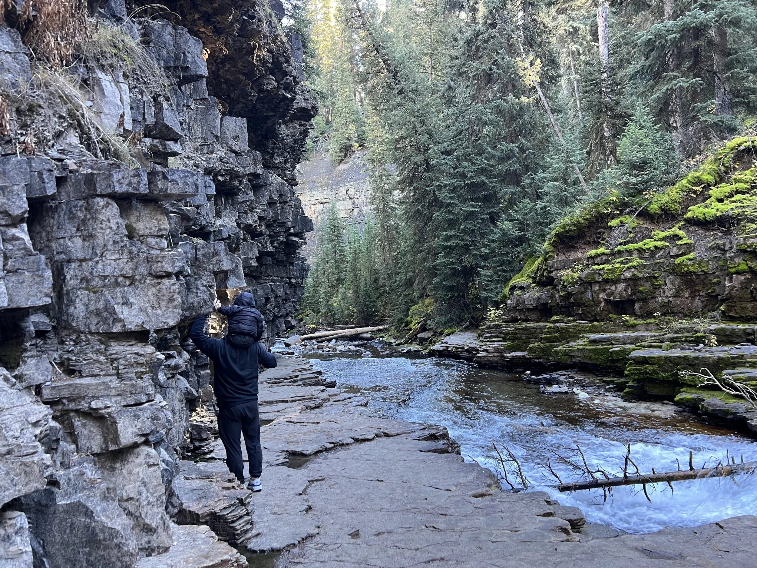 A person wearing a black jacket and black pants stands on a rocky trail next to a cliff face, next to a flowing river in a forested canyon.