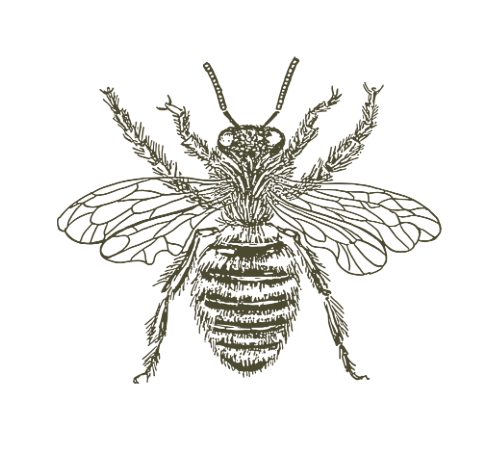 Lake Tahoe Wedding Florist | Golden Flowers (Copy)