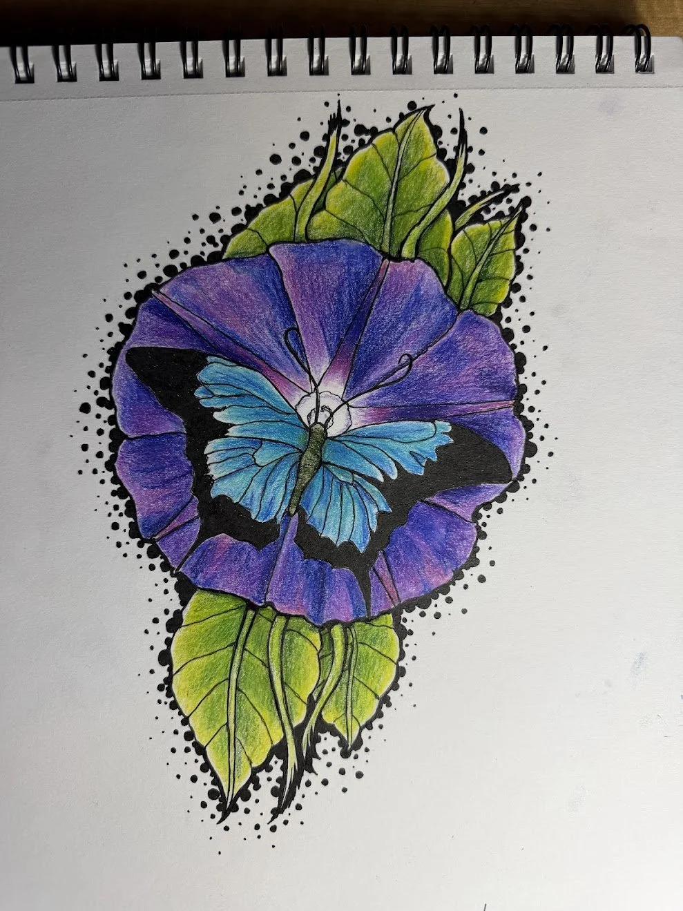 Ink and Color Pencils