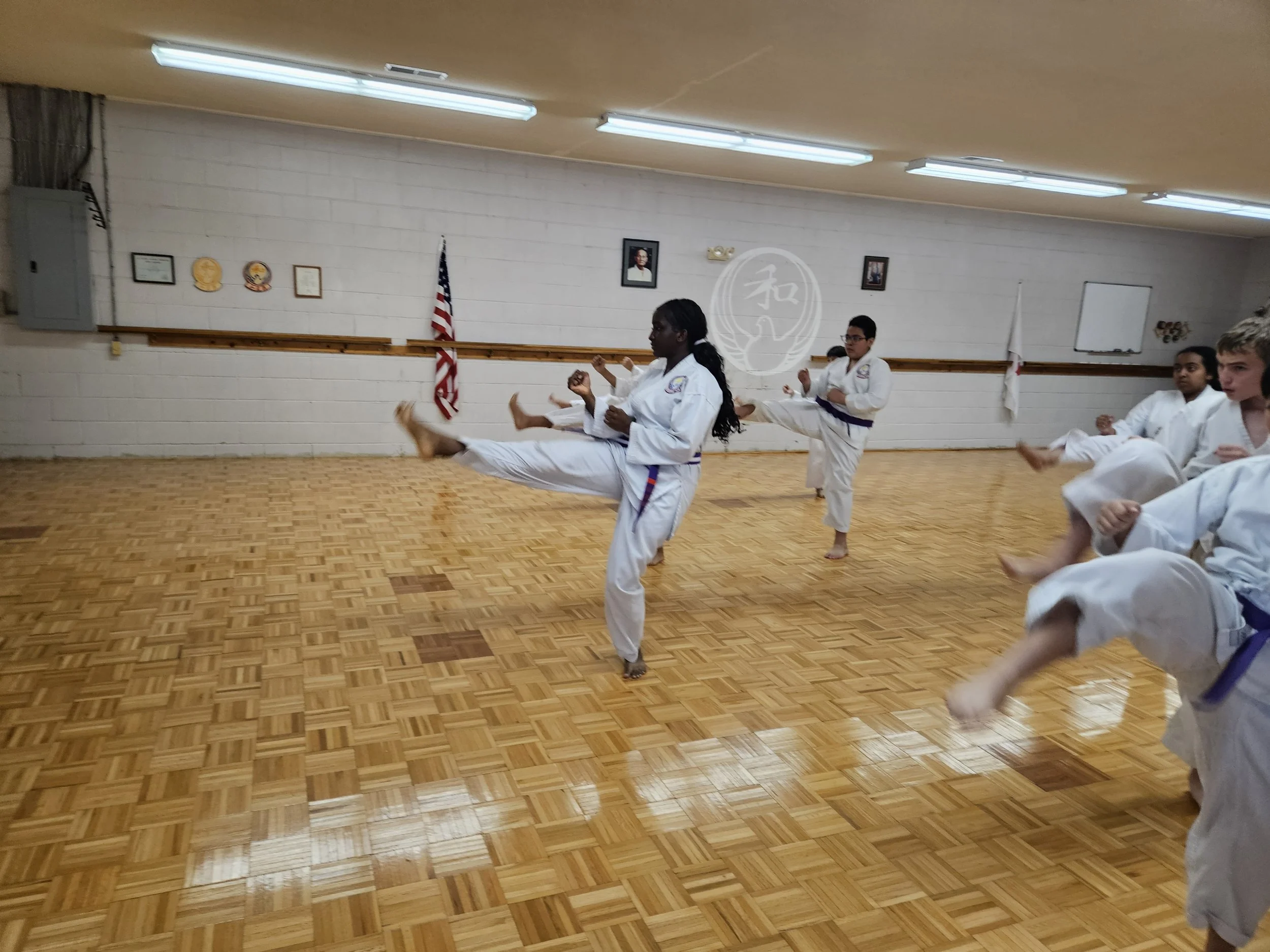 Children practicing martial arts in a dojo, wearing white gis with colored belts, performing kicks on a wooden floor with an American flag and martial arts symbols on the wall.