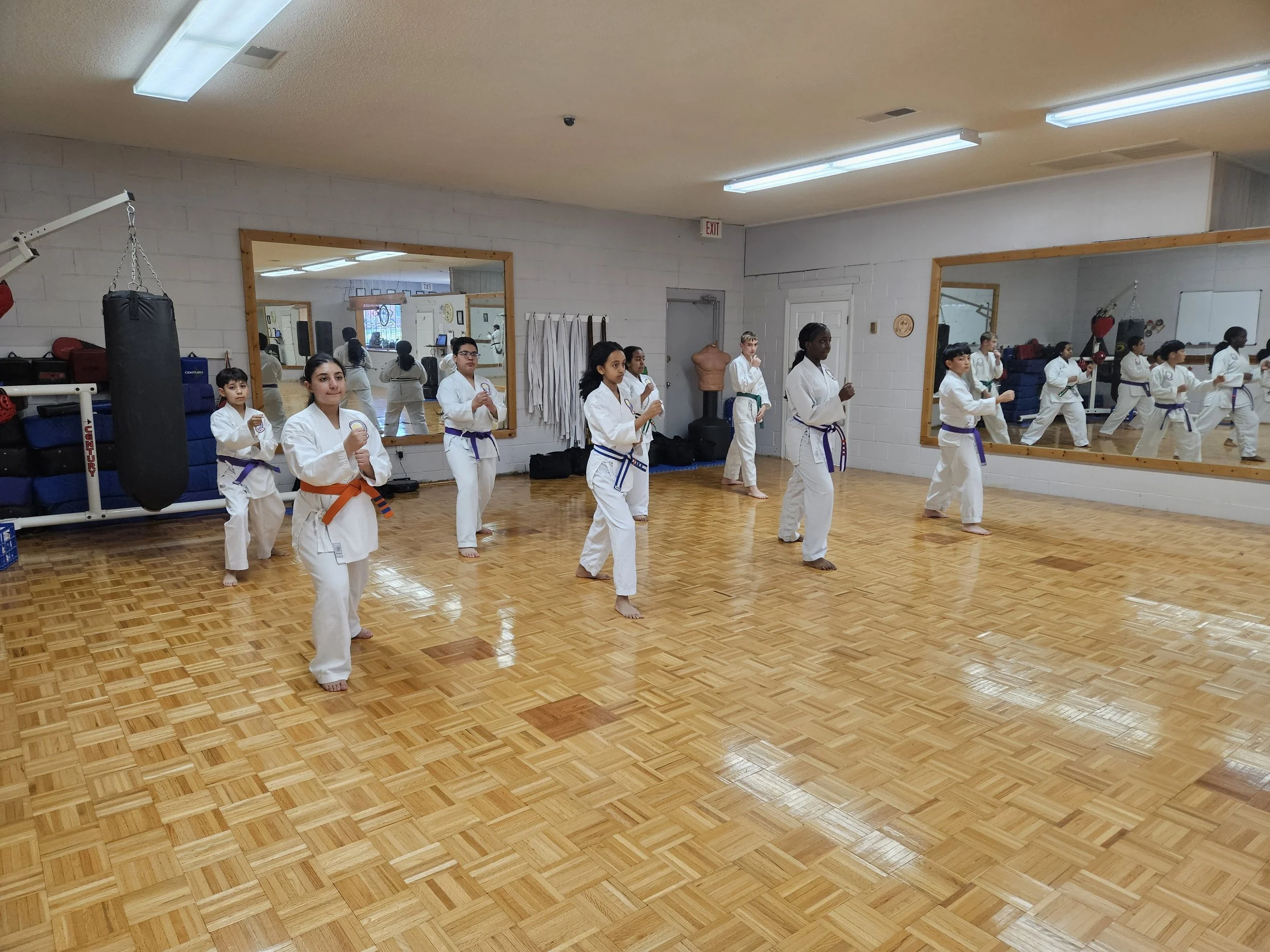 Group of children practicing karate in a dojo, standing in fighting stances in front of a large mirror, with some wearing colored belts indicating their rank.
