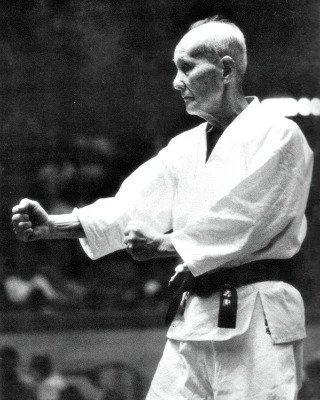 A martial artist practicing a kata or stance in a dojo while wearing a white gi and black belt.
