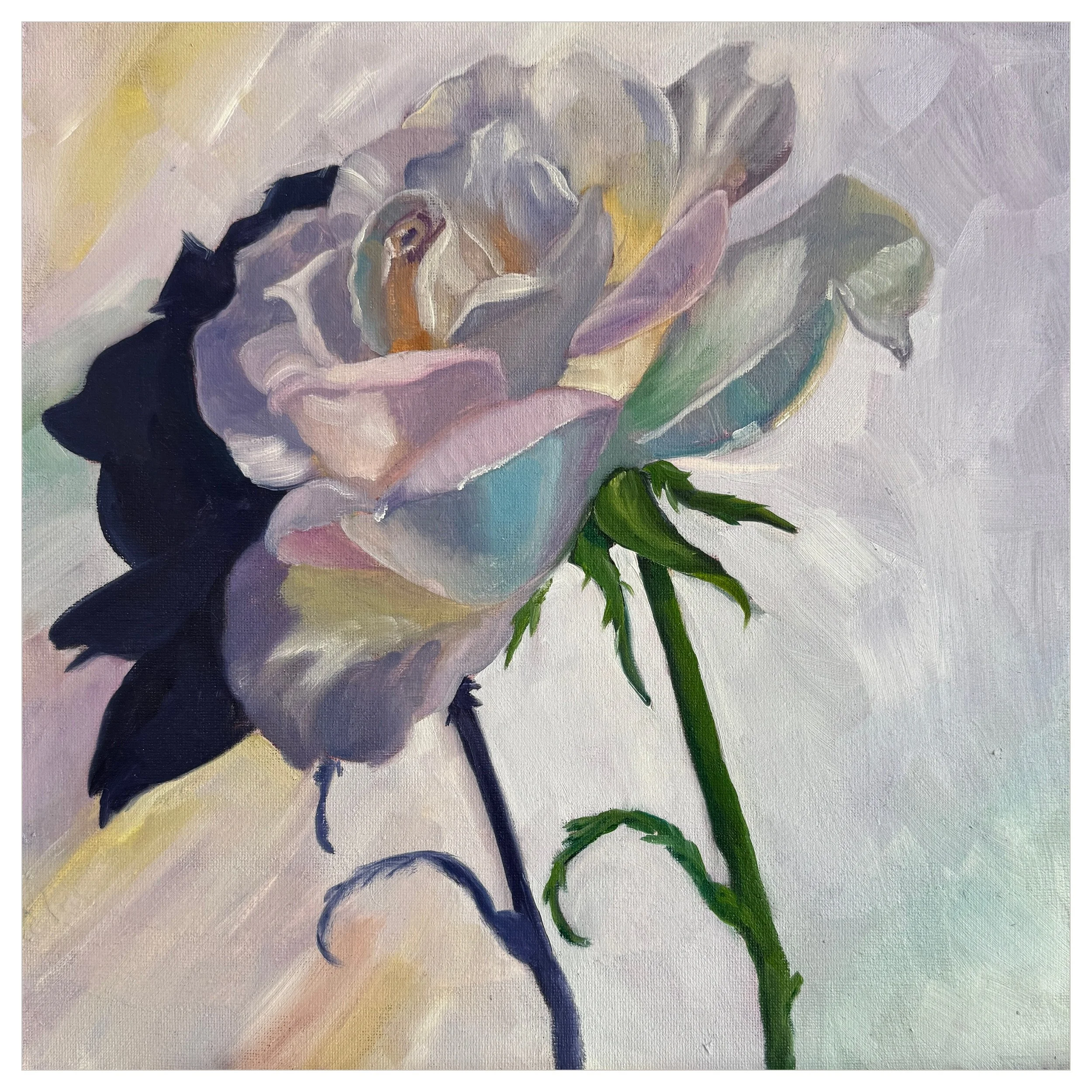Reflected Love | Original 12x12 Oil Painting of a White Rose in Rainbow Light