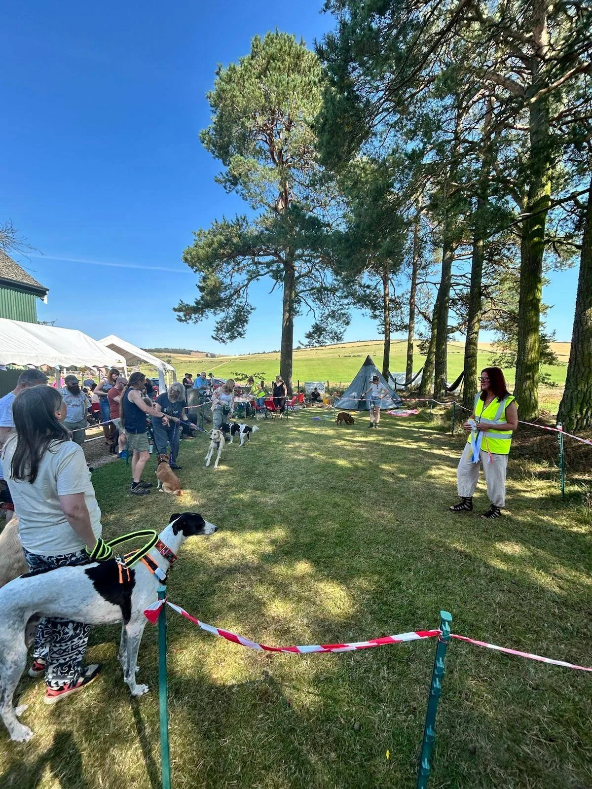 People and dogs gathered in a grassy outdoor area under tall trees on a sunny day, with tents and a field in the background, seemingly at a dog event or exhibition.