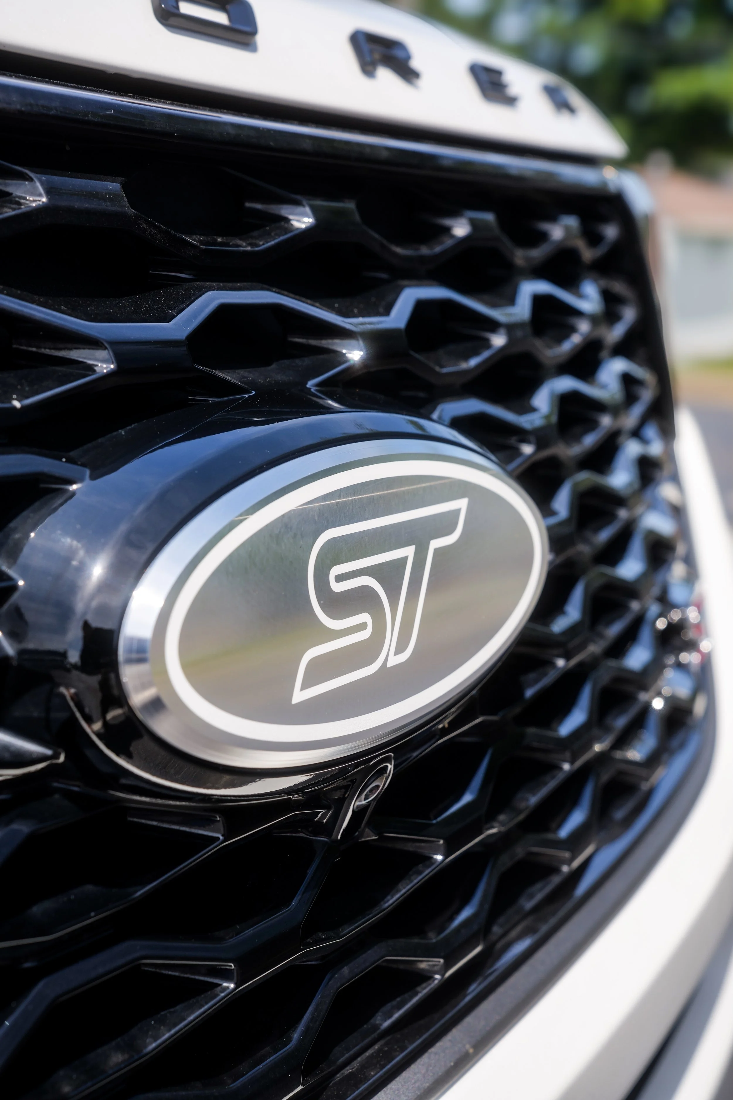 ST EMBLEM FRONT-2.JPG
