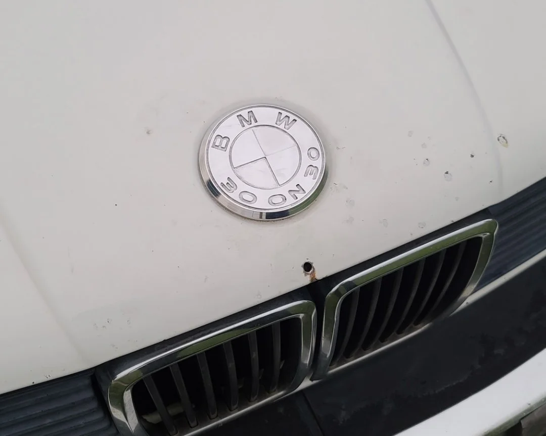 bmw roundel-30on30-2.jpeg
