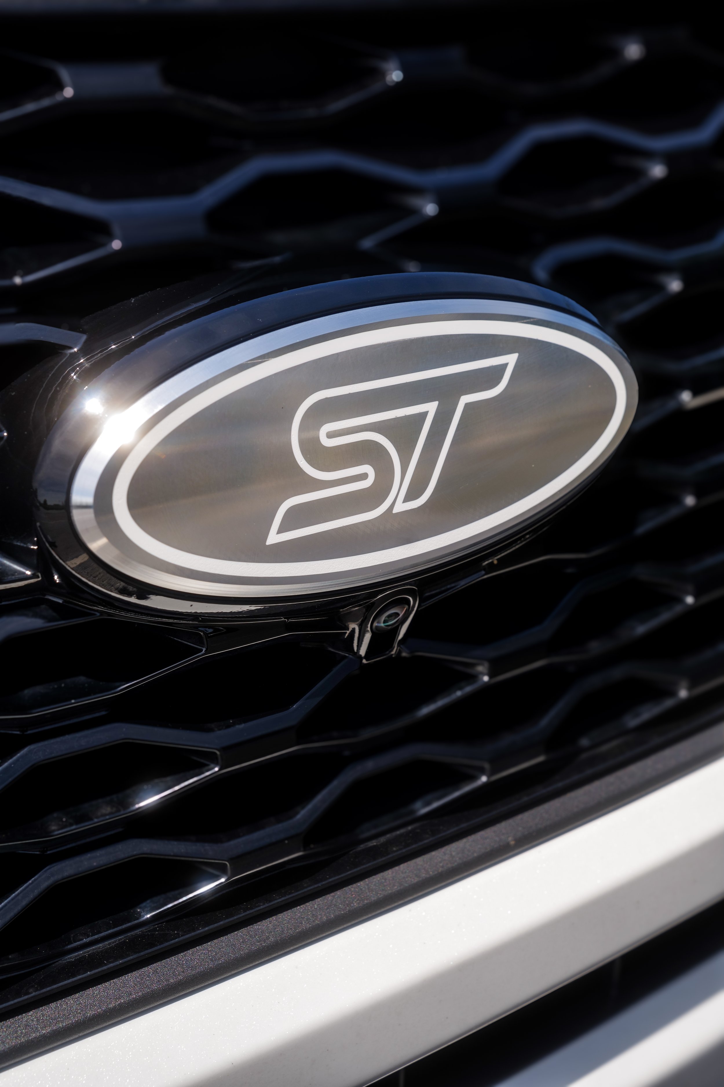 ST EMBLEM FRONT.JPG