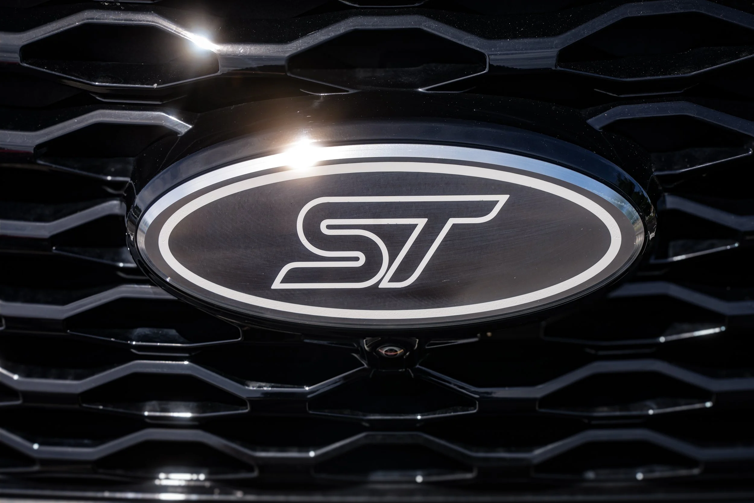 ST EMBLEM FRONT-3.JPG