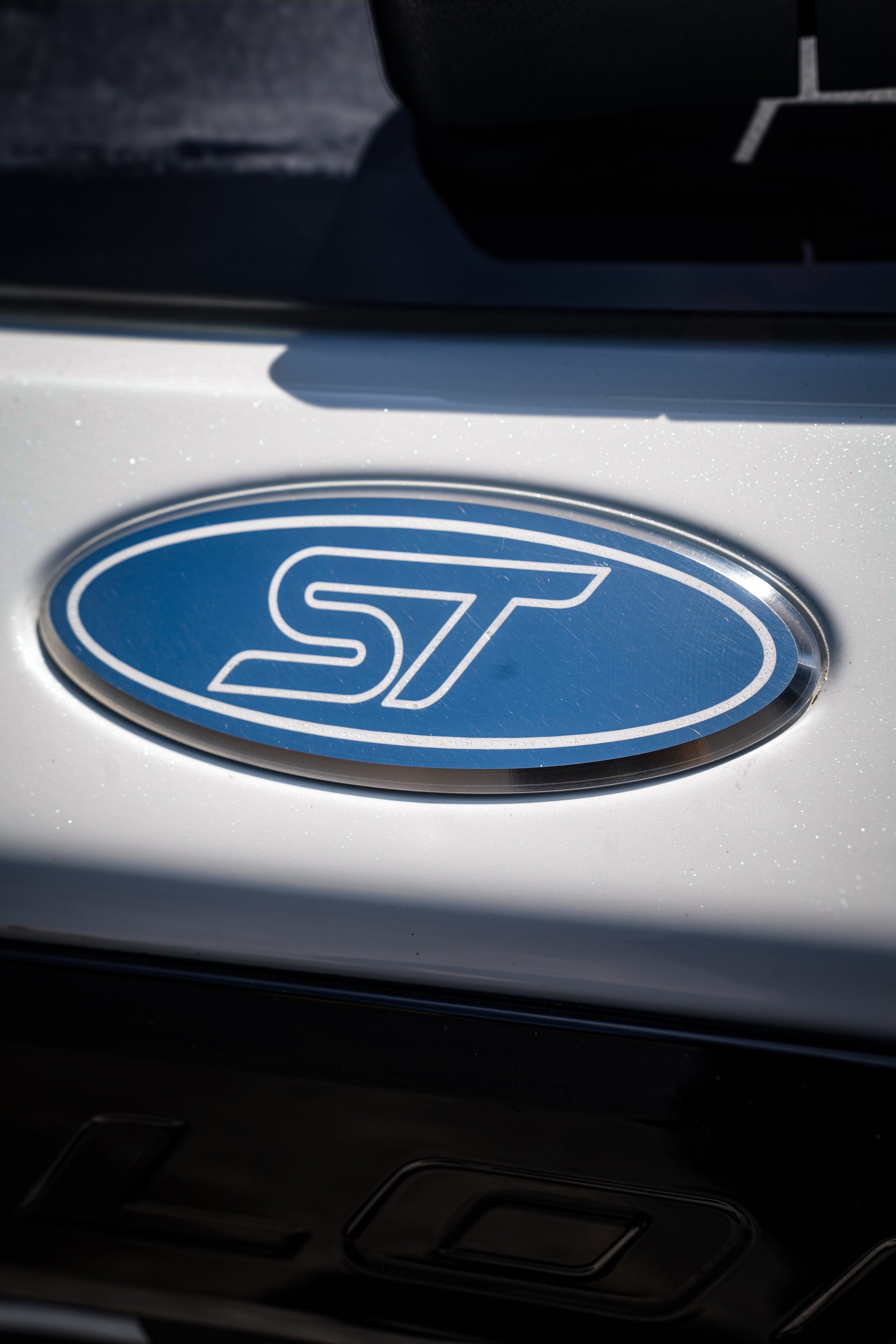 ST EMBLEM REAR-2.JPG