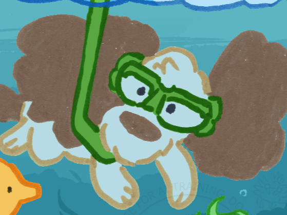 Reef