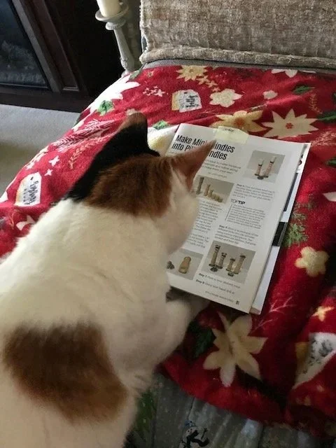 Callie going over next class project
