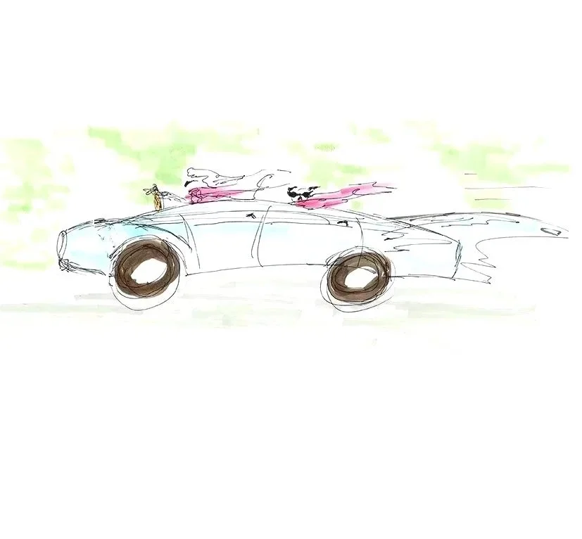 dogsincars-01.jpg