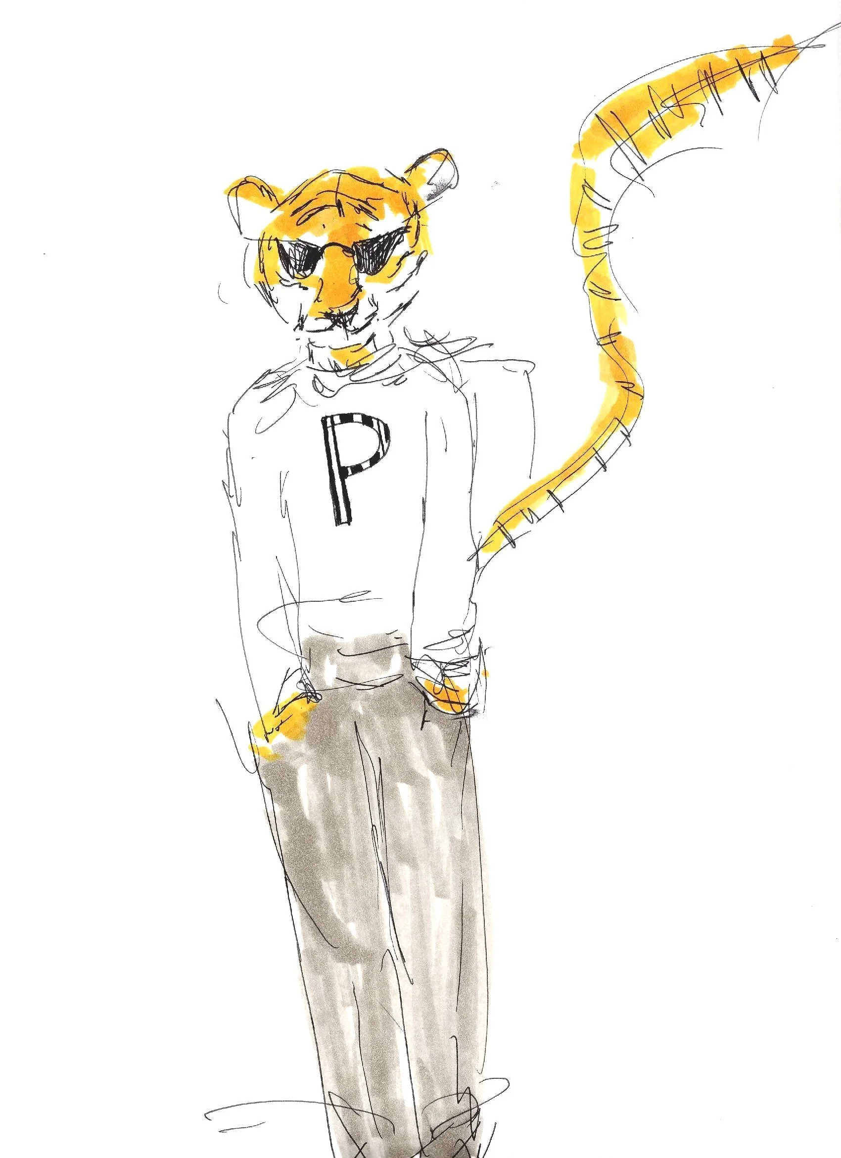 princeton%2Btiger.jpg