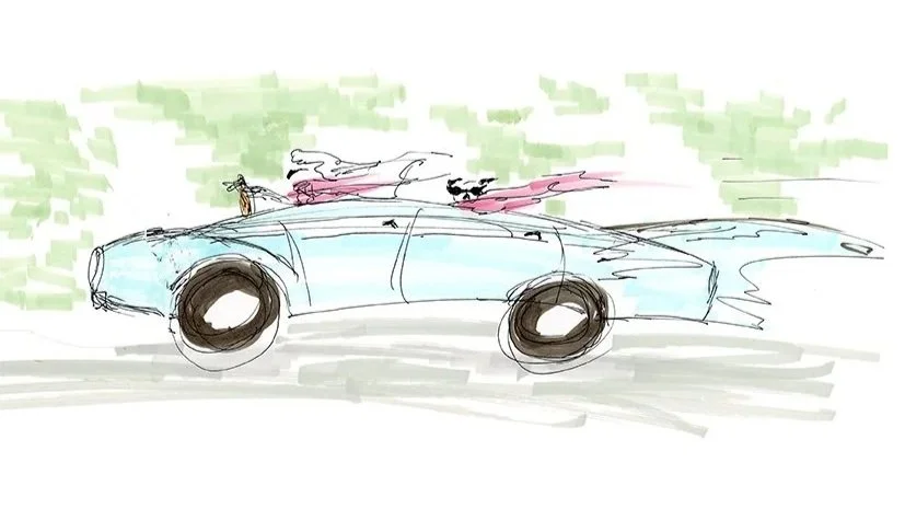 Dogs in Cars