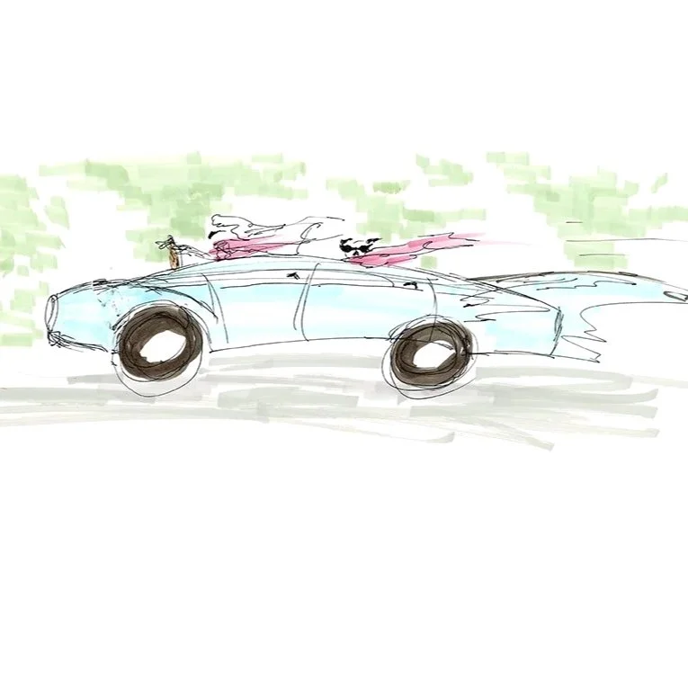 Dogs in Cars