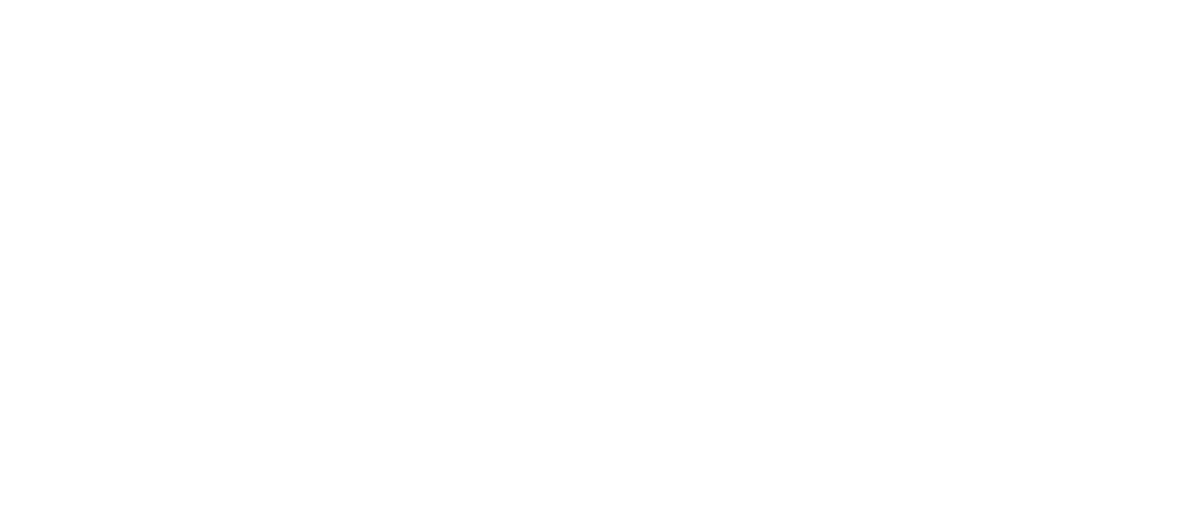 BrattleFly