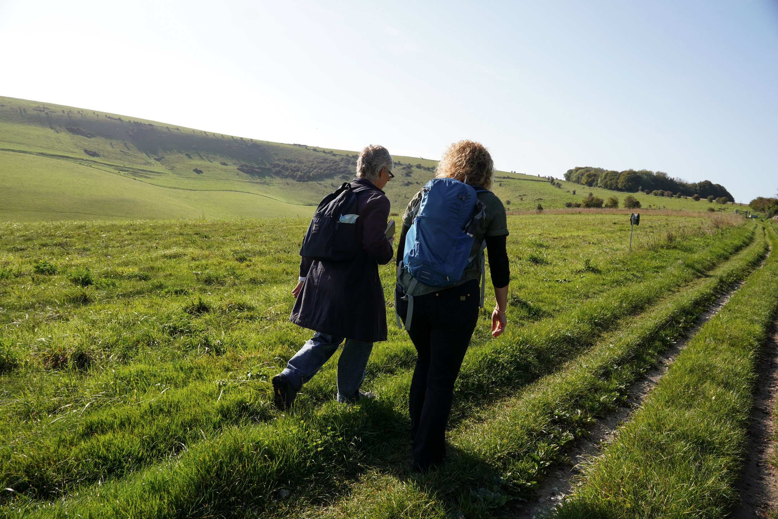 WalkingPartnershipsOct25-51.jpg