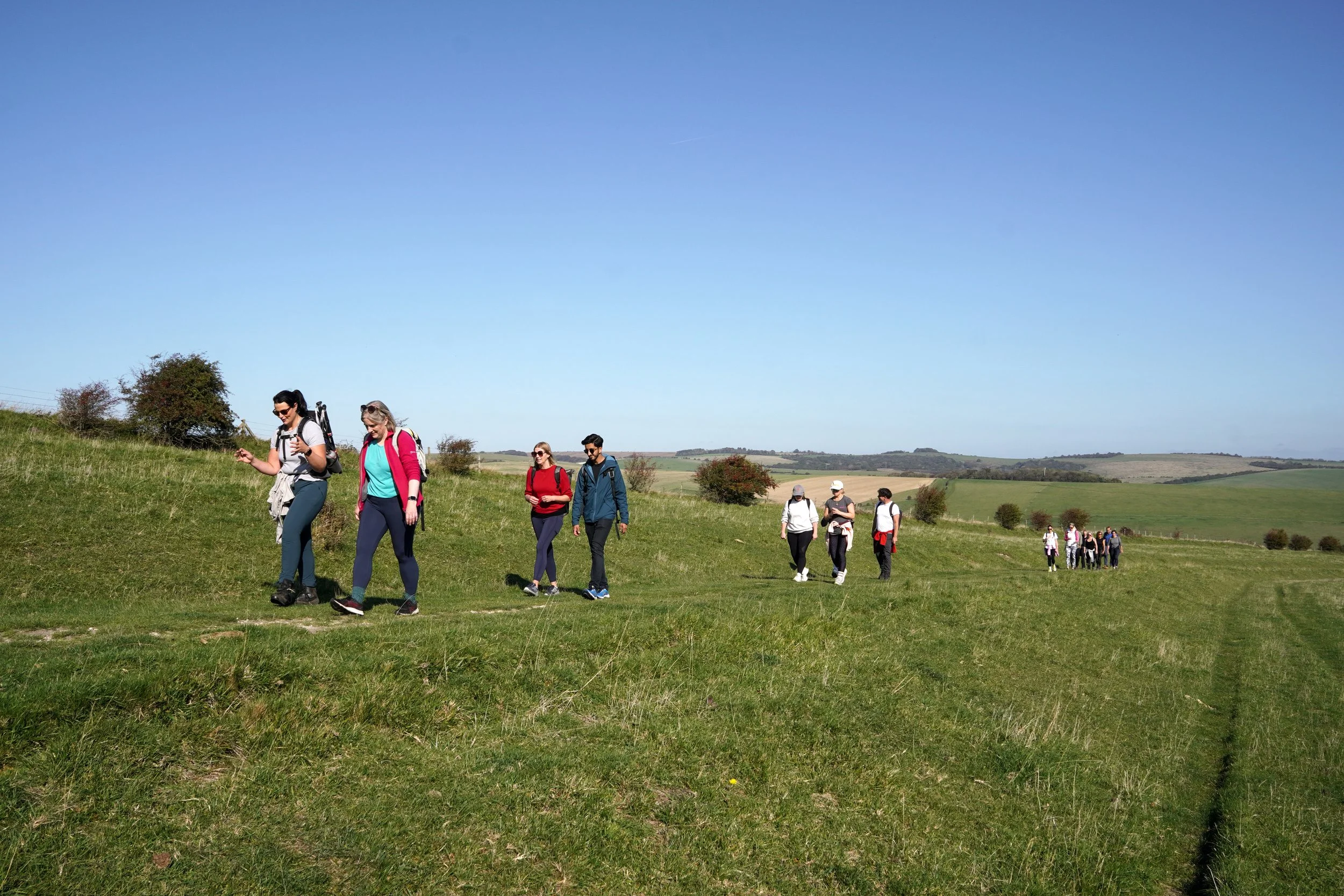 WalkingPartnershipsOct25-60.jpg